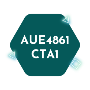 AUE4861