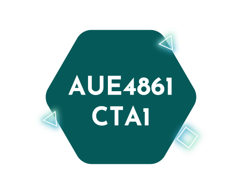 AUE4861
